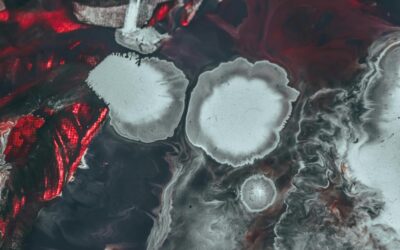 Sample Post 2